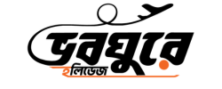 ভবঘুরে হলিডেজ